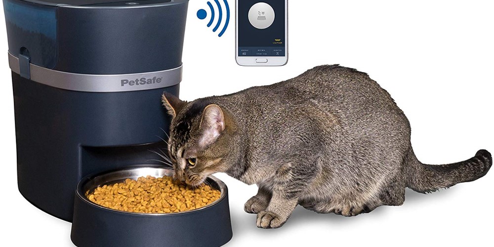 Why Do You Need an Automated Pet Feeder?
