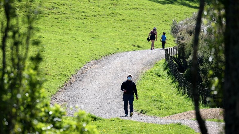 New Zealand sees its highest number of Covid cases