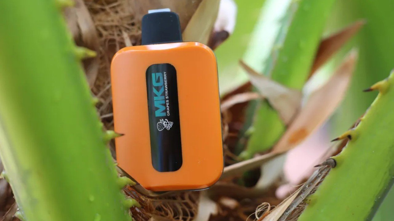 Refillable Vapes: A Comprehensive Guide to Choosing the Right Device for You