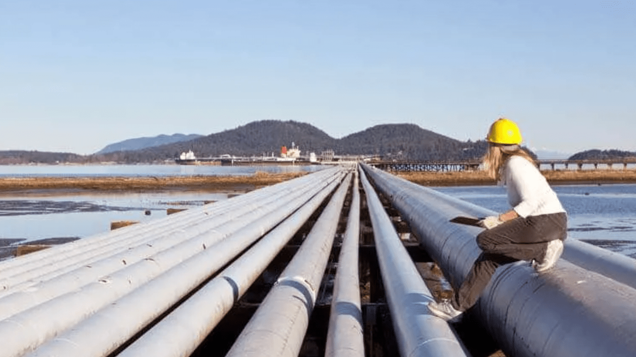 What Are The Common Applications Of AS/NZS 1163 C350 L0?